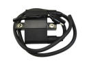 Polaris external ignition coil